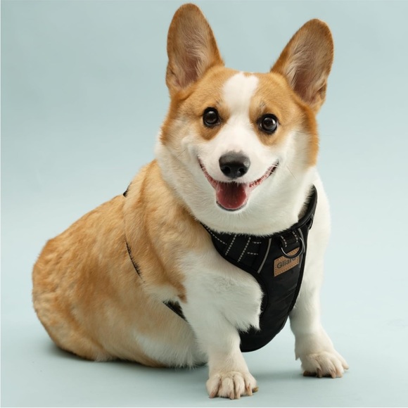 NWT Set of 2 Gliard Dog Harness, No Pull Small - Picture 6 of 7